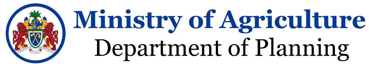 Department of Planning